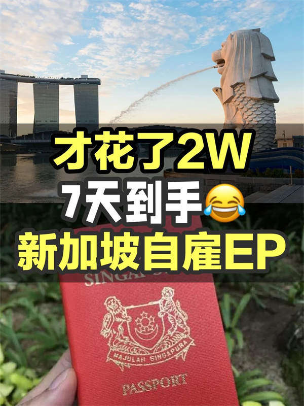 新加坡移民正在紅利期7天就拿身份！