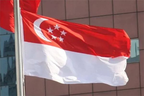 2025新規(guī)：新加坡無犯罪記錄證明全新升級！