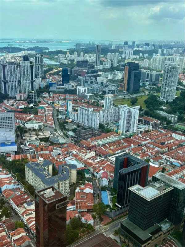 坡國移民自雇vs雇主擔(dān)保，誰更香？