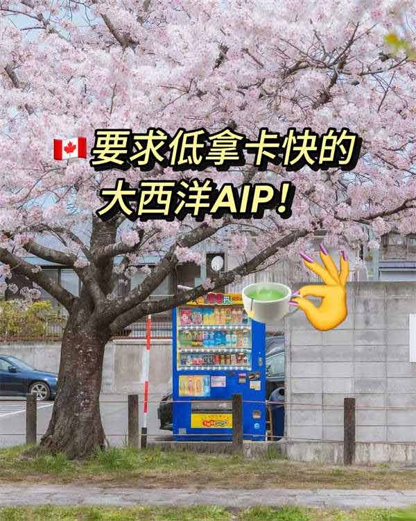 加拿大要求低拿卡快的大西洋AIP！