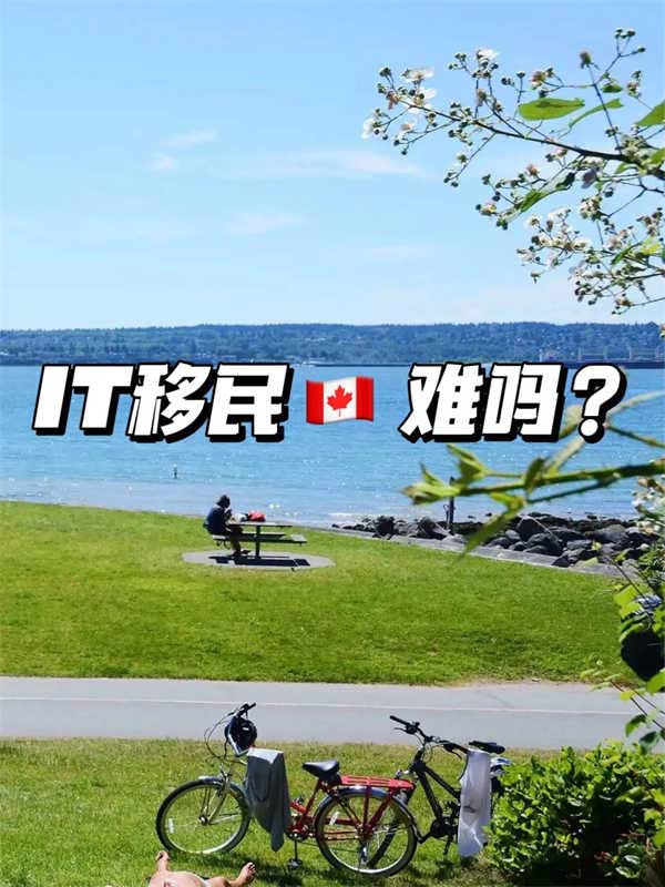 IT移民加拿大難不難？