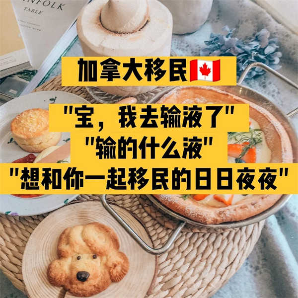 最適合加拿大技術(shù)移民的四大工作崗位