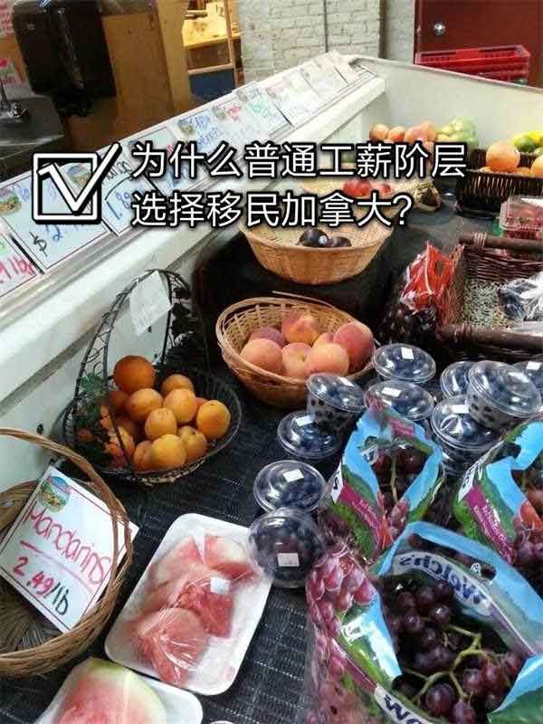 為什么越來越多中產(chǎn)、普通工薪階層選擇移民加拿大！