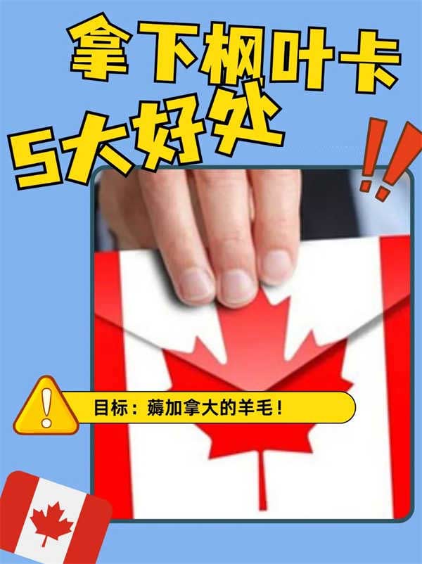 來(lái)薅加拿大的羊毛！拿下楓葉卡的5大好處