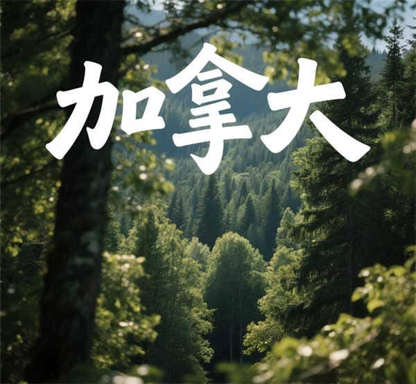 加拿大SUV移民攻略，一篇文章全搞定
